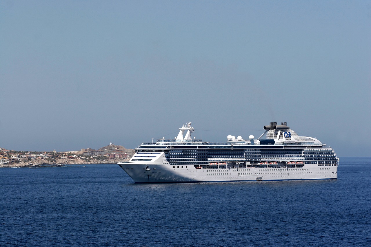 The Environmental Impact of Cruise Ships